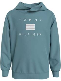 Tommy Hilfiger Jungen Pullover Sweatshirt Kapuze TH Logo Hoodie 16 Jahre Blau von Tommy Hilfiger