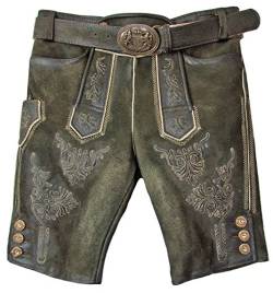 Trachtenland Maddox Kurze Lederhose Ammersee mit Gürtel - Antik Smoke Gr. 60 von Trachtenland