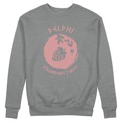 Trend Creators Delphi Strawberry Farms Percy Jackson Inspired Grauer Unisex Pullover Sweatshirt Size XL von Trend Creators