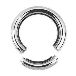 Treuheld® | 2,5mm x 10mm Segmentring Piercing Ring | Chirurgenstahl | Dick | Silber | Intimpiercing für Frau und Mann, Septum, Ohr, Lobe, Nase, PA von Treuheld