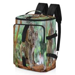 Koala süßer Sport-Rucksack für Herren und Damen, Koala-Wochenendtasche mit Schuhfach, Tragetasche, Übernachtungstasche, 47,5 l, für Sport, Fitnessstudio, Reisen, farbe, 47.5L, Taschen-Organizer von TropicalLife