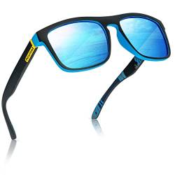 Two Horizons Sonnenbrille Herren Polarisiert | Polarisierte Sonnenbrille mit 100% UV-Schutz | Retro-Design | Ideal für Outdoor-Aktivitäten | Mit Etui und Mikrofaser-Brillenbeutel | Sonnenbrille Damen von Two Horizons