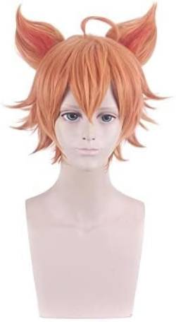 Wig Anime Cosplay Perücke for Cosplay-Perücke King Cos, bunt bemalte Schriftrolle Baili Xuan Ce Thermal Swing mit Ohren, Farbe: PL-842 (Baili Xuan Ce) von Uearlid