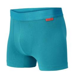 Undiemeister Herren Boxershorts aus Baumwolle/Mellowood - Premium Unterhosen für Männer - Atmungsaktive Boxershorts für optimalen Komfort - Aurora Sky - Große L von Undiemeister