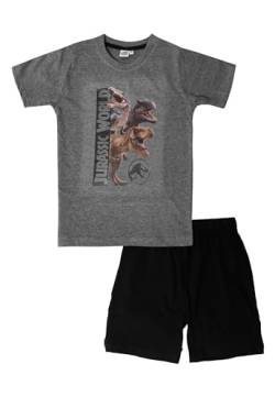 Jurassic World Schlafanzug für Jungen - Kinder Pyjama Set Kurzarm Oberteil mit Hose Grau/Schwarz (DE/NL/SE/PL, Numerisch, 110, 116, Regular) von United Labels