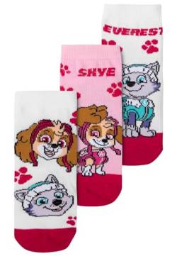 United Labels Paw Patrol Socken für Mädchen Kinder Sneaker Kindersocken Söckchen Rosa Weiß (3er Pack) (DE/NL/SE/PL, Numerisch, 23, 26, Regular, Rosa/Weiß) von United Labels