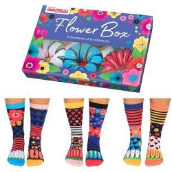 Flower Box Blumen Oddsocks Socken in 37-42 im 6er Set - Strumpf von United Oddsocks