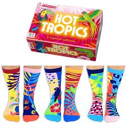 Hot Tropics Oddsocks Socken in 37-42 im 6er Set - Strumpf von United Oddsocks