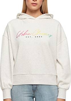 Urban Classics Damen TB5001-Ladies Oversized Rainbow Hoody Kapuzenpullover, lightgrey, 4XL von Urban Classics