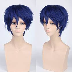 Wig for cos wig juvenile anti-curled short hair color universal men's wig cosplay aniwig color:PL-002-8#dark blue von VLEAP