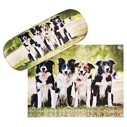 VON LILIENFELD Brillenetui Border Collies Hund Motiv Etui Brille Mikrofaser Brillenputztuch Brillenbox Stabiles Hardcase Set mit Stoff bezogen von VON LILIENFELD