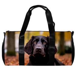 Sporttaschen für Herren,Reisetaschen für Damen,Herbst Hundeblatt,Trainingstasche von VTGHDEEQ