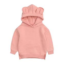 Verve Jelly Kleinkind Baby Jungen Mädchen Hoodies Casual 3D Bärenohren Pullover Sweatshirt Herbst Kleidung Outfit, Orange, 110 (3-4 Jahre) von Verve Jelly