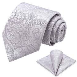 Vinlari Krawatte Silber Herren Paisley Krawatte&Taschentuch Set,Elegant Klassisch Krawatten für Herren Formelle Hochzeit Business von Vinlari