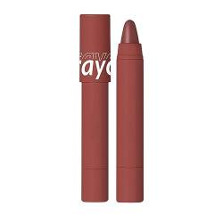 Kussechter Lippenstift Metallic Set Lang Anhaltende Feuchtigkeitsspendende Lippenstift Buntstifte Lip Liner Nicht Stick Lippenstifte Für Frauen Lipgloss Glitzer (E, One Size) von Vipomkowa