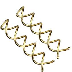 Voarge 20 Spiralhaarnadeln, Twist-Haar-Clips, abgerundete Haarspangen, für Haarstyling, Spiralförmig, (gold) Item Name (aka Title) von Voarge