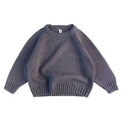 Volunboy Baby Jungen Mädchen Strickpullover Rundhals Sweater Winter Warme Pulli Langarm Oberteile(3-4 Jahre,Violett,Größe 110) von Volunboy