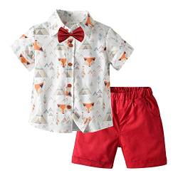 Volunboy Kleinkind Kurzarm Hemd + Kurze Hosen Set, Sommer Floral Button T-Shirt Shorts Outfit(18-24 Monate,Roter Fuchs,Größe 90) von Volunboy