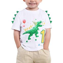 Baby Junge 1. Geburtstag T-Shirt Dinosaurier 1 Jahr Geburtstag Kurzarm Geschenk Roar i’m 1 Top Tshirt mit Baumwolle Druck Stickerei Grafik Kurzarm Erstes Geburtstagsoutfit von WAWSAM