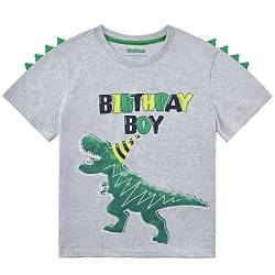 Dinosaurier Geburtstagskind T Shirt Jungen Geburtstag Shirts Tops Geschenk 100% Baumwolle Kleinkind Dino Grafik Kurzarm Grau Gedruckt T-Shirt Outfits für Kinder(grau, 3-4 Jahre) von WAWSAM
