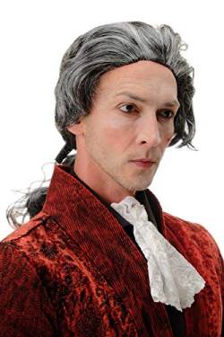 WIG ME UP - 4287-P103-68 Fasching Karneval Halloween Perücke grau mit Zopf: Barock Edelmann Poet Graf Fürst Vampir Dracula von WIG ME UP