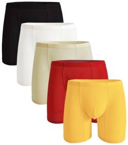 WINDAY Herren Slip Atmungsaktiv Ice Silk Sport Inspired Unterwäsche Boxer Briefs, 5 Stück gemischte Farben, Medium von WINDAY