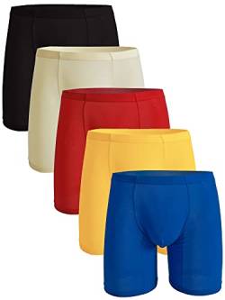 WINDAY Herren Slips Atmungsaktiv Eisseide Sport Inspiriert Unterwäsche Boxer Briefs, 5er-Pack gemischte Farben B, Large von WINDAY