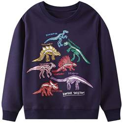 WINKEEY Jungen Sweatshirt Mit Kawaii Dinosaurier Haifisch Tintenfisch Muster Langarm Pullover Nachtleuchtend Kinder Oberteilung 2-7 Jahre, Dinosaurier 2-3T von WINKEEY