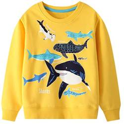 WINKEEY Jungen Sweatshirt Mit Kawaii Dinosaurier Haifisch Tintenfisch Muster Langarm Pullover Nachtleuchtend Kinder Oberteilung 2-7 Jahre, Haifisch 1-2T von WINKEEY