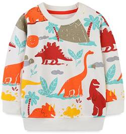 WINKEEY Jungen Sweatshirt Pullover Langarm Dinosaurier Bagger Rakete Winter Oberteile Kawaii Hoodie 80-130 2-7 Jahre,Dinosaurier2 5T von WINKEEY