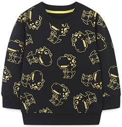 WINKEEY Jungen Sweatshirt Pullover Langarm Dinosaurier Bagger Rakete Winter Oberteile Kawaii Hoodie 80-130 2-7 Jahre,Dinosaurier3 3T von WINKEEY