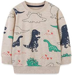 WINKEEY Jungen Sweatshirt Pullover Langarm Dinosaurier Bagger Rakete Winter Oberteile Kawaii Hoodie 80-130 2-7 Jahre,Dinosaurier4 3T von WINKEEY