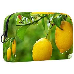 Reisekosmetiktasche,kleine Make-up-Tasche für Frauen,gelbe Zitronen, die am Baum hängen,Kosmetik-Organizer-Tasche mit Reißverschluss von WOSHJIUK