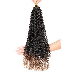 WanBeauty 45cm Perücke Haarteil Twist Crochet Hair Flechten Lockiges Haar Wasserwelle Lockiges Gewelltes Synthetisches Haarverlängerung Für Frauen TB27# von WanBeauty