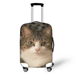 Wanyint Moon Star Print Gepäckabdeckung Reisekoffer-Abdeckung mit Reißverschluss, Katze, niedlich, xl von Wanyint