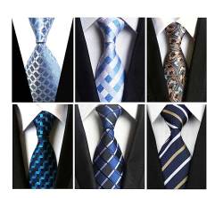 Wehug Lot 6 Stück Herren Seidenkrawatte gewebte Jacquard klassische Krawatten für Herren, EU-Lot6-tie022 von Wehug