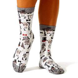 Wigglesteps Damen Socken 'Gentlemen Pug', one Size (36-41) von Wigglesteps