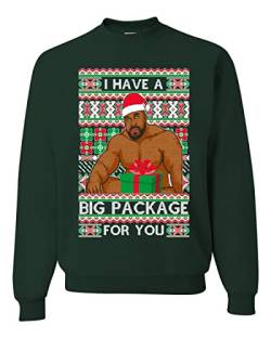 Wild Bobby I have a Big package Meme Barry Wood Ugly Christmas Sweater Unisex Crewneck Sweatshirt, Gr?n (Forest Green), L von Wild Bobby