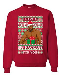 Wild Bobby I have a Big package Meme Barry Wood Ugly Christmas Sweater Unisex Crewneck Sweatshirt, Rot/Ausflug, einfarbig (Getaway Solids), Medium von Wild Bobby