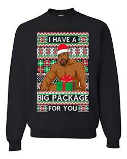Wild Bobby I have a Big package Meme Barry Wood Ugly Christmas Sweater Unisex Crewneck Sweatshirt, Schwarz, XL von Wild Bobby