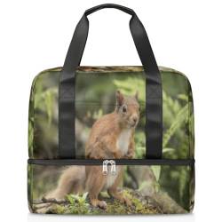 Animal Squirrel Sports Duffle Bag for Women Men Boys Kirls Cute Squirrel Weekend Overnight Bags Wet Separated 21L Tote Bag for Travel Gym Yoga, farbe, 21L, Taschen-Organizer von WowPrint