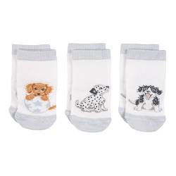 Wrendale - LTW-SOCK004 - Little Wren Baby Socken Set, 3 Paar, Hunde, waschbar, 6-12 Monate von Wrendale