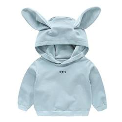 XUEJIANN Mädchen Hoodies Sweatshirt mit Hasenohr Kapuze Niedlich Pullover Herbst Winter üBergangsjacken Leichter Mantel Baby Kleidung Kindermantel Casual Oberbekleidung Sweatjacke Langarmshirt von XUEJIANN