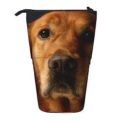 XVBCDFG Handsome Golden Retriever, hübsches bedrucktes Federmäppchen, Stand-up-Federmäppchen, Teleskop-Federhalter, Schreibwaren-Organizer, Make-up-Tasche mit Reißverschluss, siehe abbildung, von XVBCDFG