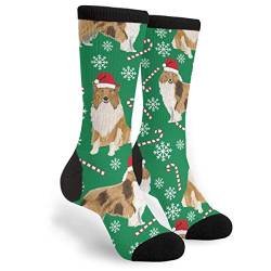 XVBCDFG Rough Collie Weihnachtssocken für Herren und Damen, lässig, verrückt, lustig, sportlich, ausgefallen, Grafik, Crew-Socken, feuchtigkeitsableitendes Geschenk, Siehe Abbildung, One size von XVBCDFG