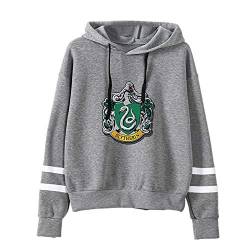 YANNI 3D Prints Slytherin Pullover Hoody,Unisex Cosplay Hoodie Sweatshirt,Jumper Für Frühling Und Herbst-Grau XL von YANNI