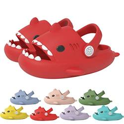 YImoomus Cloud Shark Slides Kids, Hai Hausschuhe Schuhe Kind Sommer Haifisch Schlappen, Cartoon Teenager Rutschfeste Badeschuhe (H, Kleinkind, 25, Numerisch (von/bis), EU Schuhgrößensystem, 26, M) von YImoomus