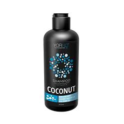 Coconut Shampoo Für Volumen Haar mit Kokosöl, Arganöl und Totes Meer Mineralien Reparatur Von Beschädigtem Haar Sulfate Frei & Parabene Frei von YOFING NEW GENERATION