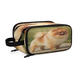 Kulturbeutel pommerscher Hund Große Kosmetiktasche Kulturtasche Waschtasche Make Up Tasche Waschbeutel Schminktasche für Damen Mädchen von YOUJUNER