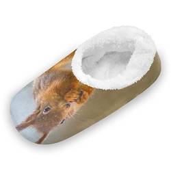 YOUJUNER Damen Hausschuhe Eichhörnchen Memory Schaum Slippers für Frauen Winter Warme Pantoffeln Geschlossene Haus Schuhe Bequeme Schlafzimmer Schuhe Baumwolleschuhe von YOUJUNER